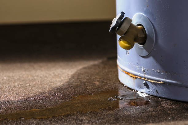 Best Local water damage restoration  in Elizabethtown, KY