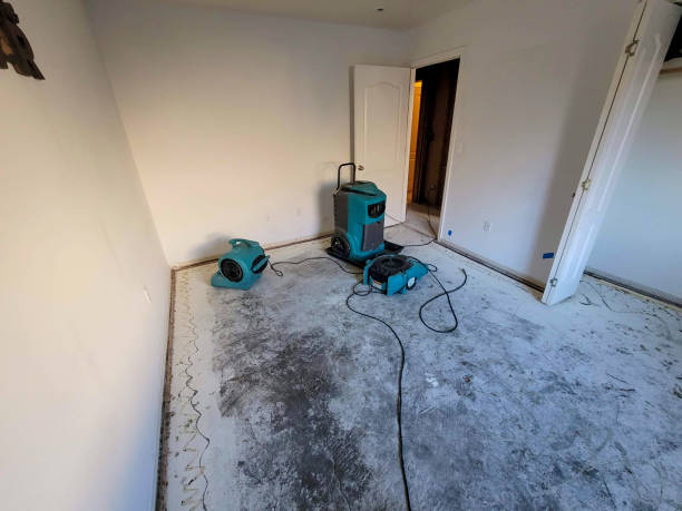  Elizabethtown, KY Water damage restoration Pros