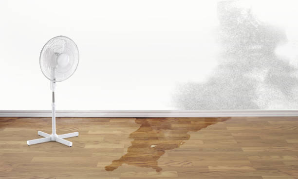 Best Flood restoration services  in Elizabethtown, KY
