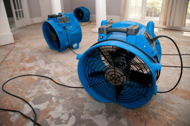 Best Residential water damage restoration  in Elizabethtown, KY