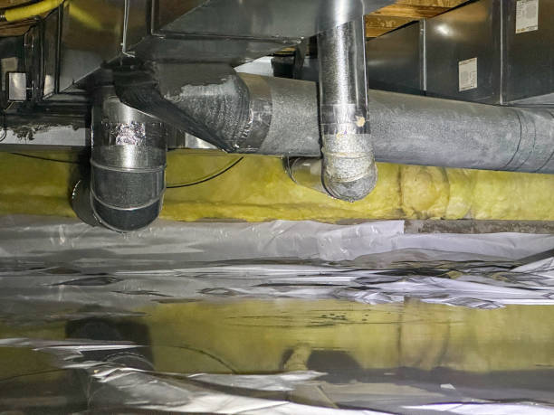 Best Water damage restoration near me  in Elizabethtown, KY