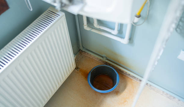Best Sewage cleanup and water damage restoration  in Elizabethtown, KY