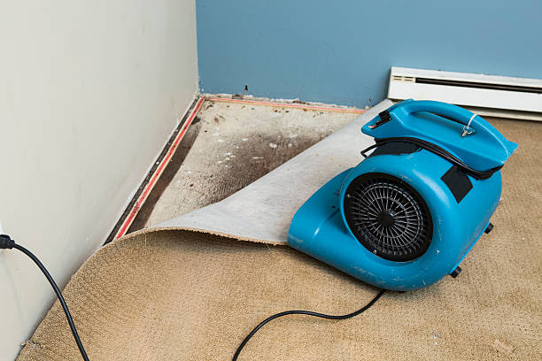 Best 24/7 water damage repair  in Elizabethtown, KY